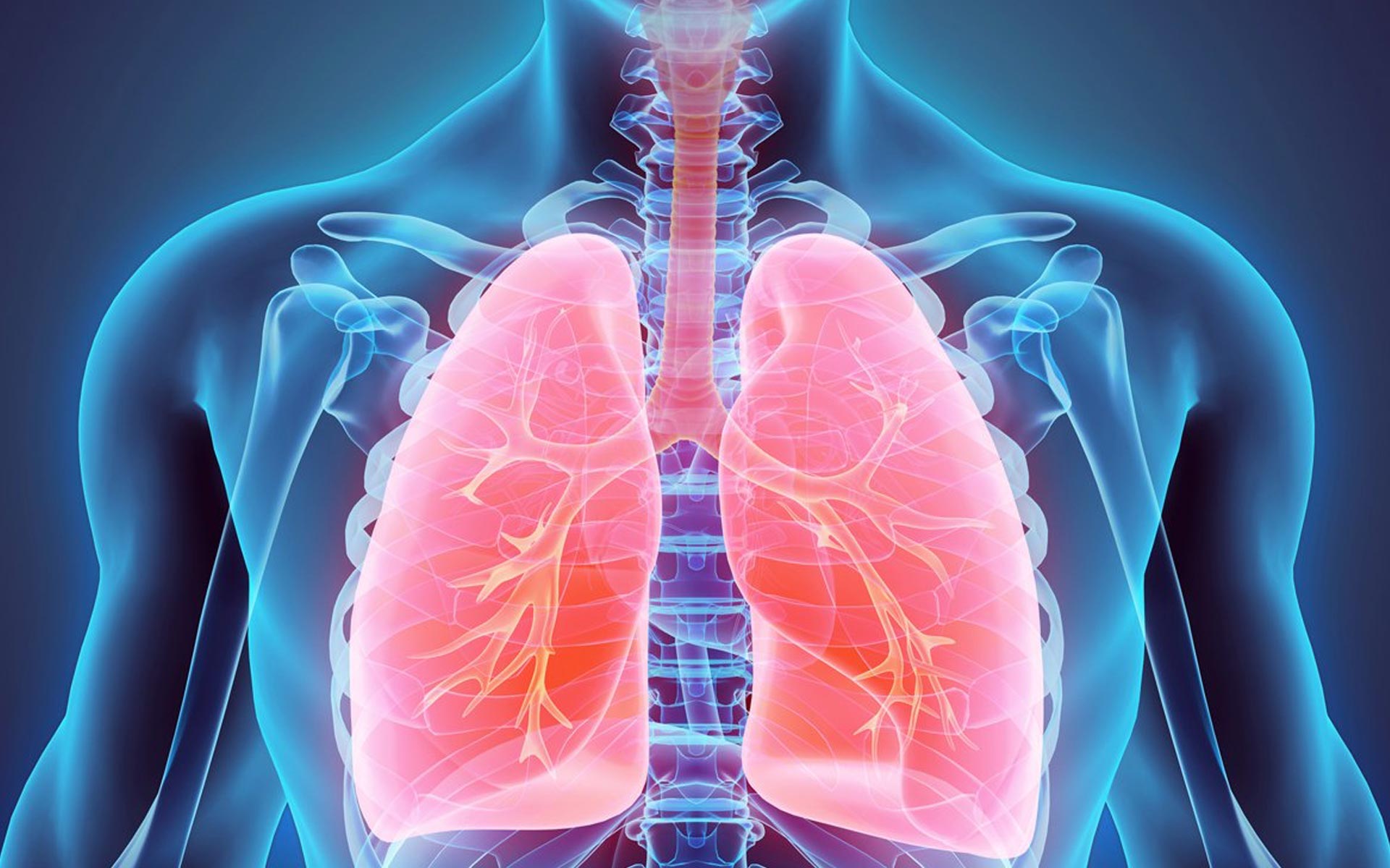Akciğer Hastalıkları: Tanı, Belirtiler ve Tedavi Yöntemleri